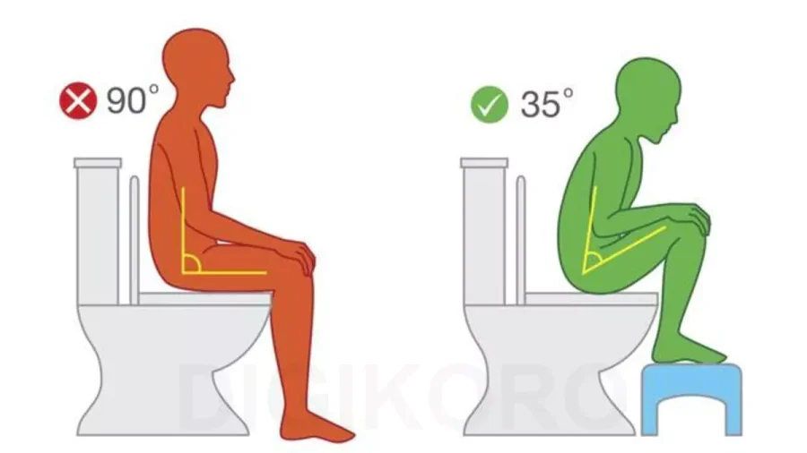 دو نفر در حال نشستن روی توالت فرنگی